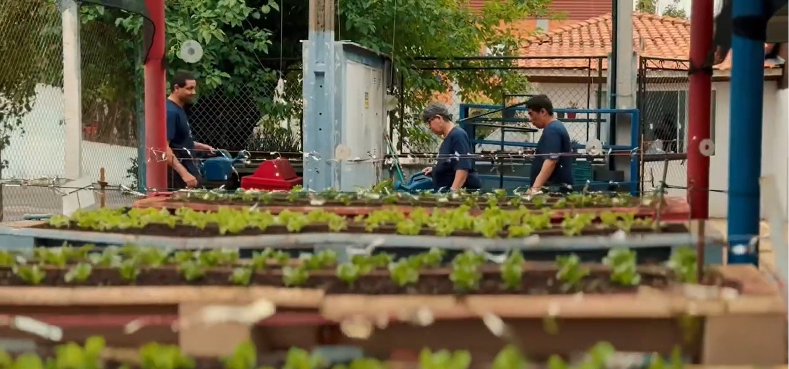 Atividade de horta e jardinagem no Centro-Dia
